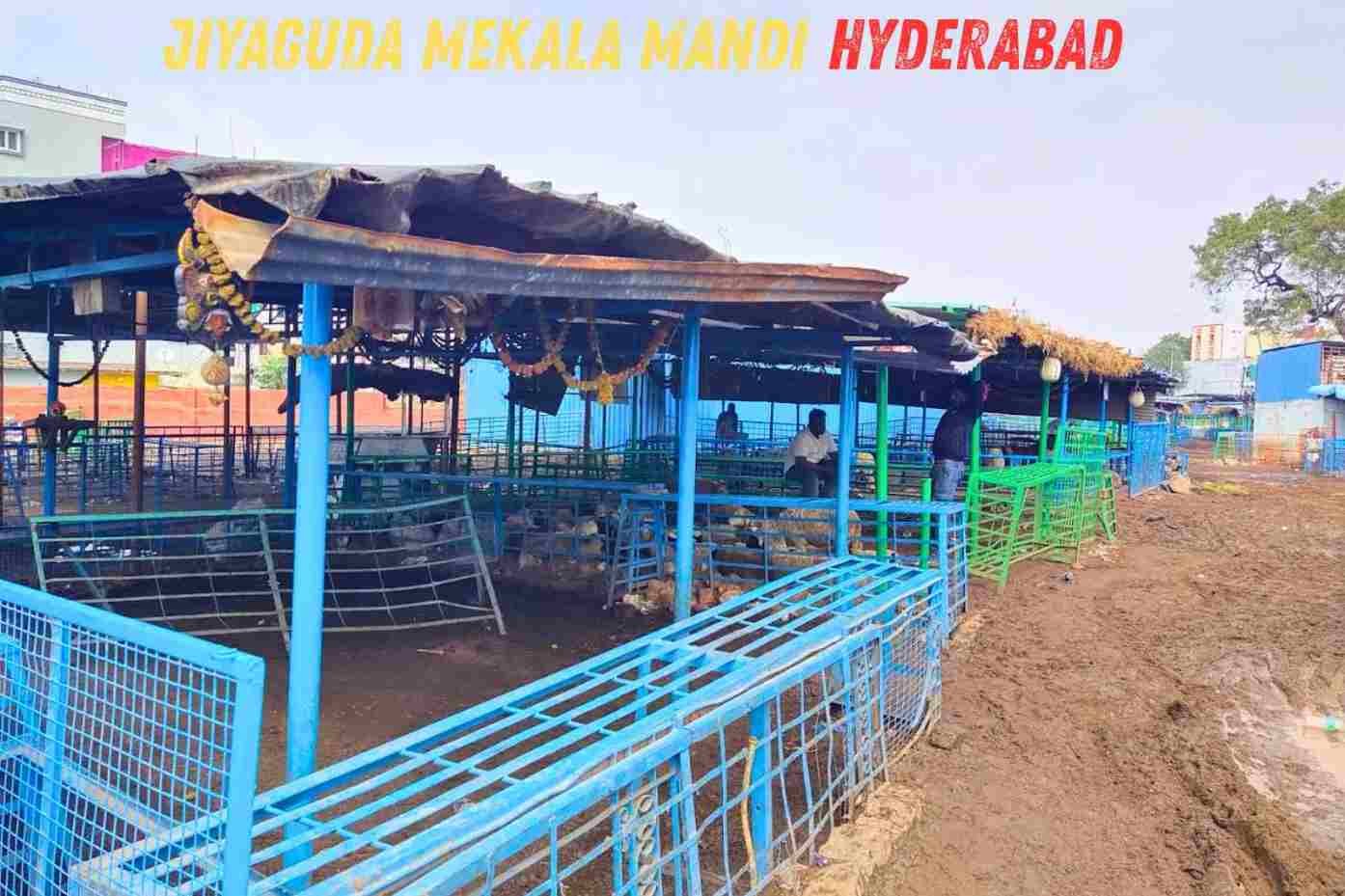Jiyaguda Mekala Mandi